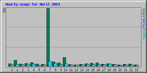 Hourly usage for April 2024