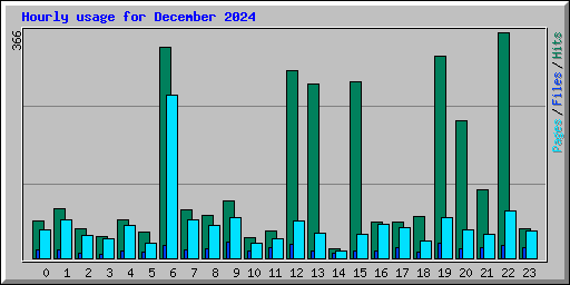 Hourly usage for December 2024